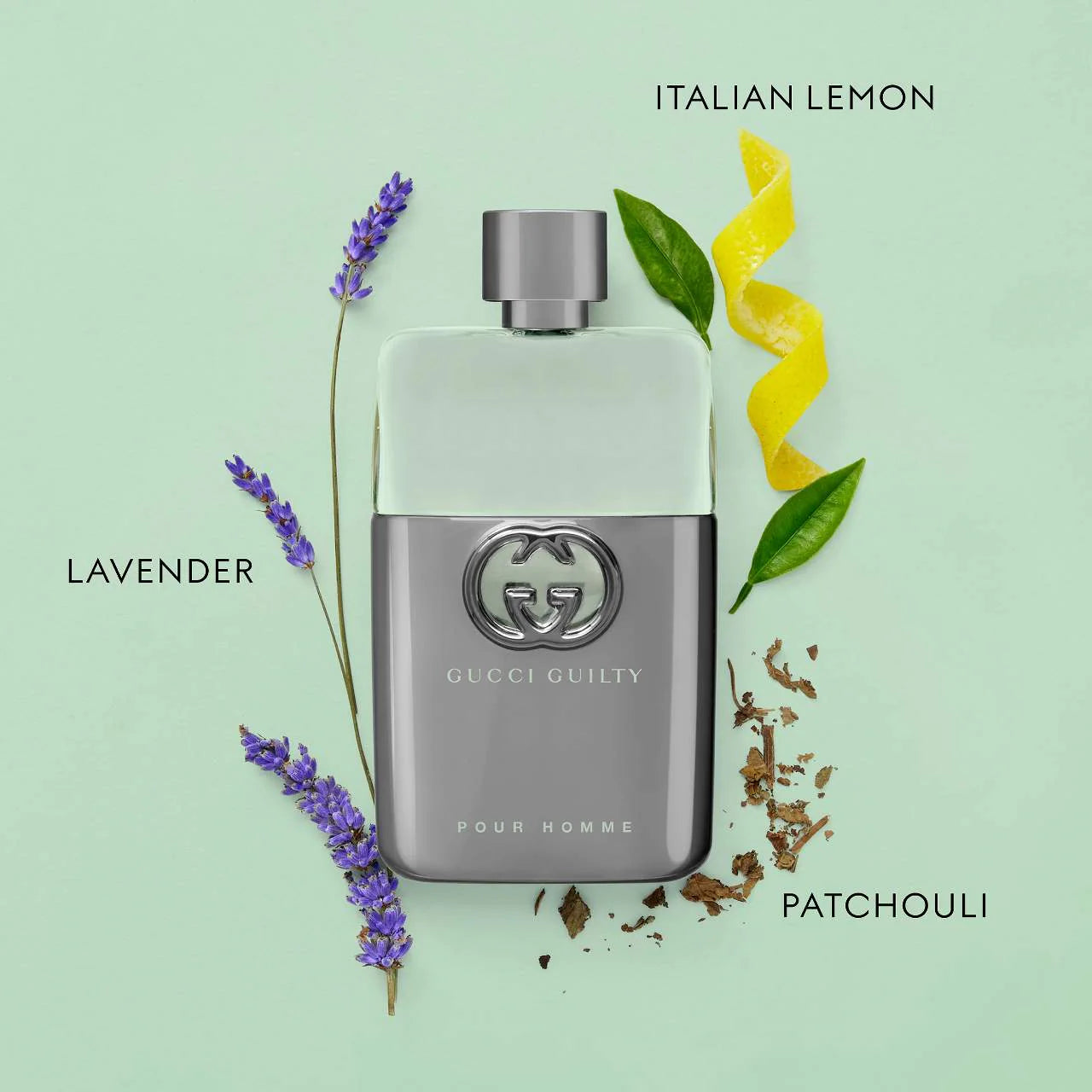 Gucci Pour Homme Eau de Toilette for men